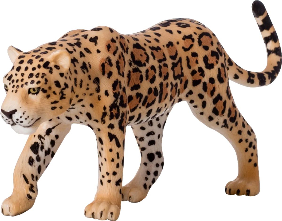Mojo Leopard - image 1
