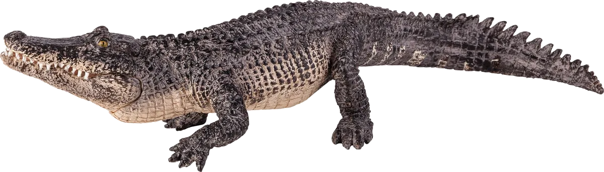 Mojo Alligator with movable Gab - image 1