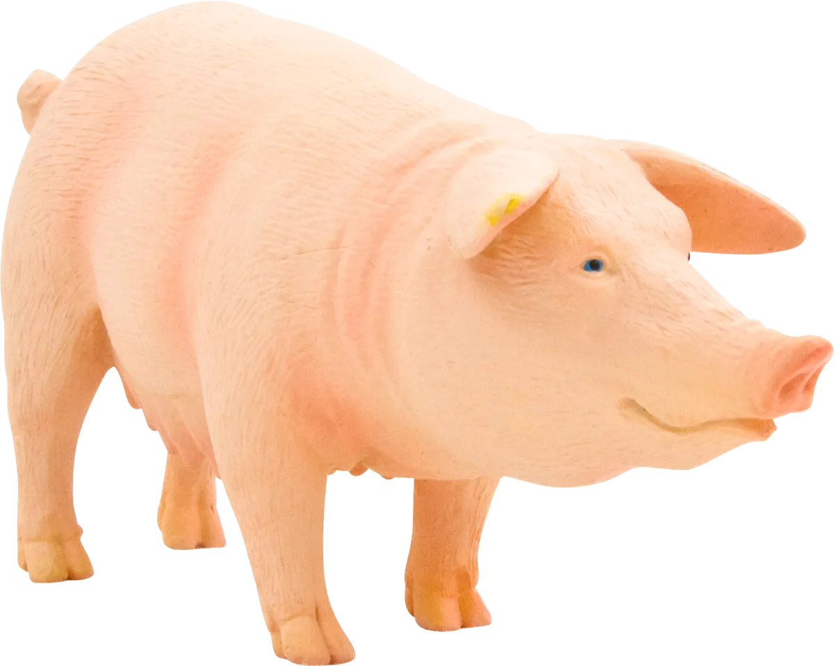 Mojo Sow - image 1