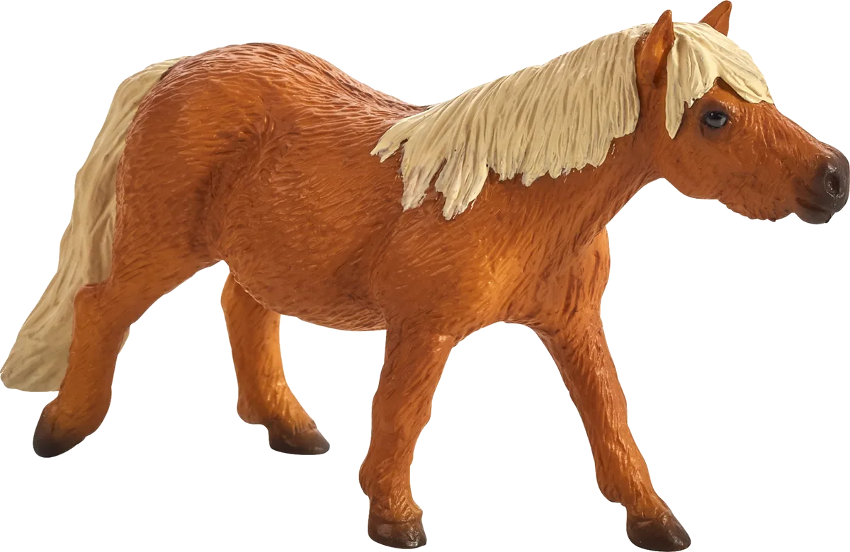 Mojo Shetland Pony - image 1