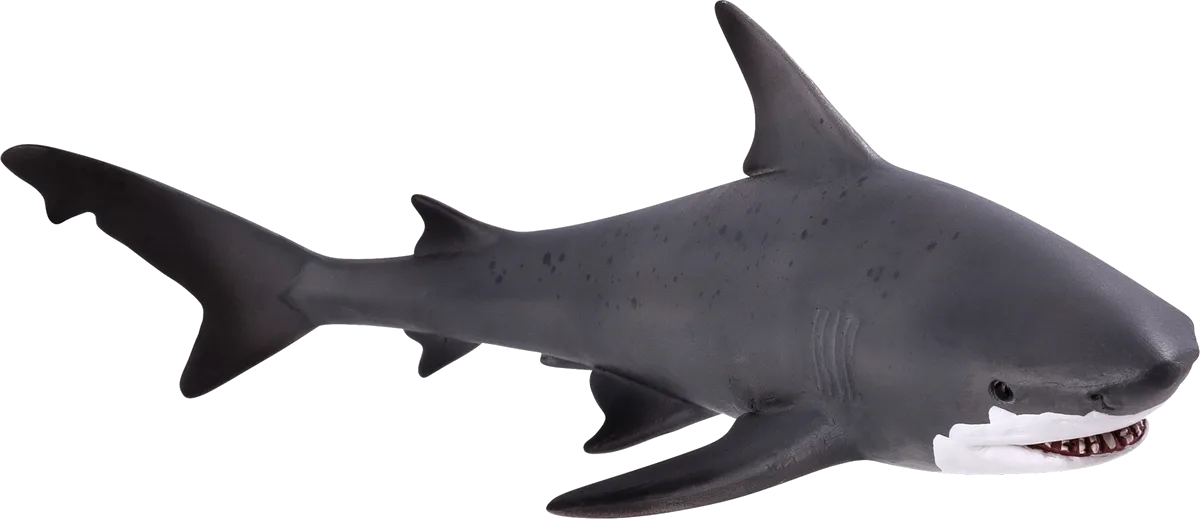 Mojo Bull Shark - image 1