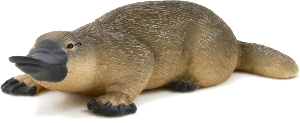 Mojo Platypus - image 1