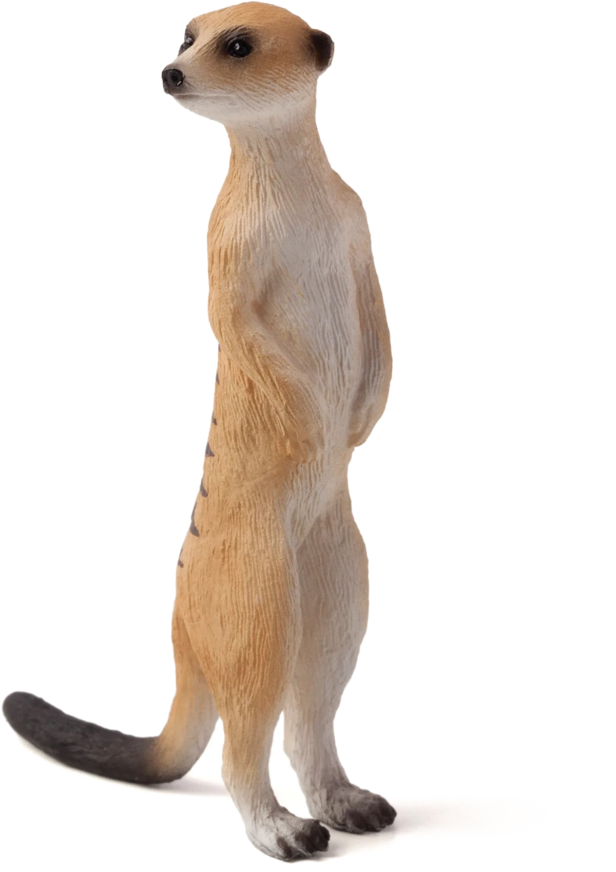 Mojo Meerkat - image 1