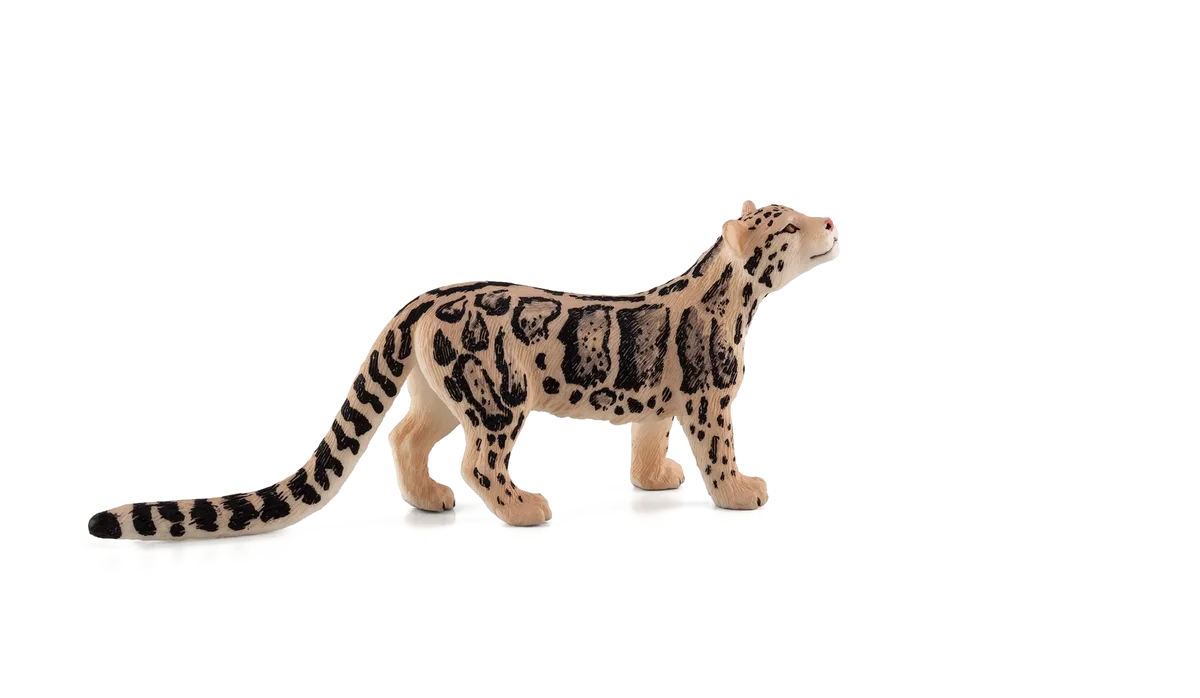 Mojo Clouded Leopard - image 1