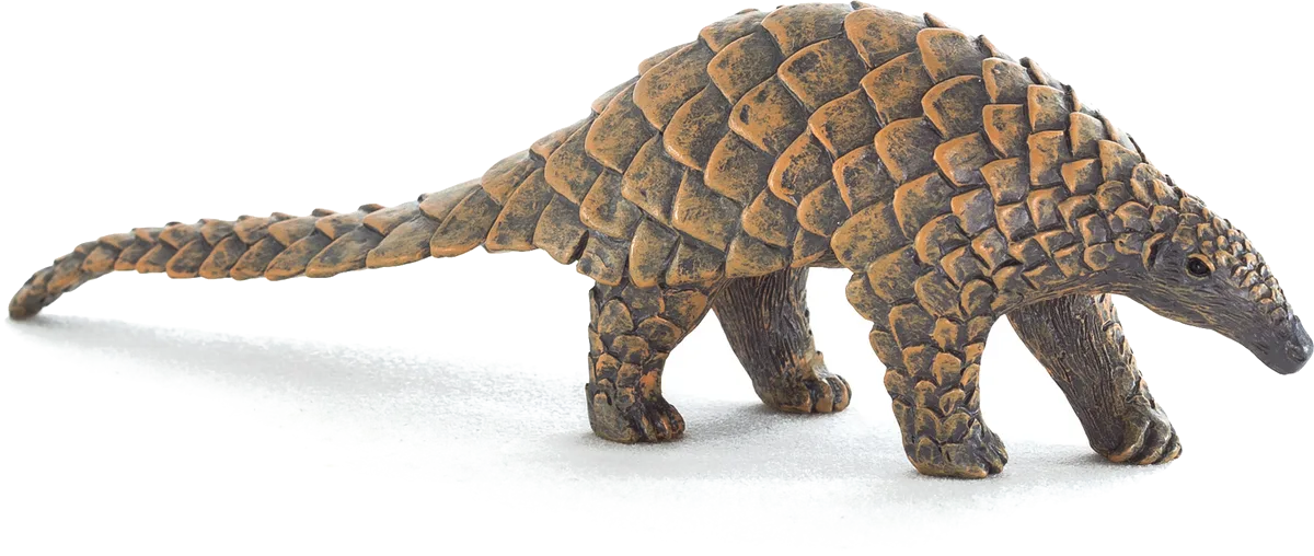 Mojo Indian Anteater - image 1