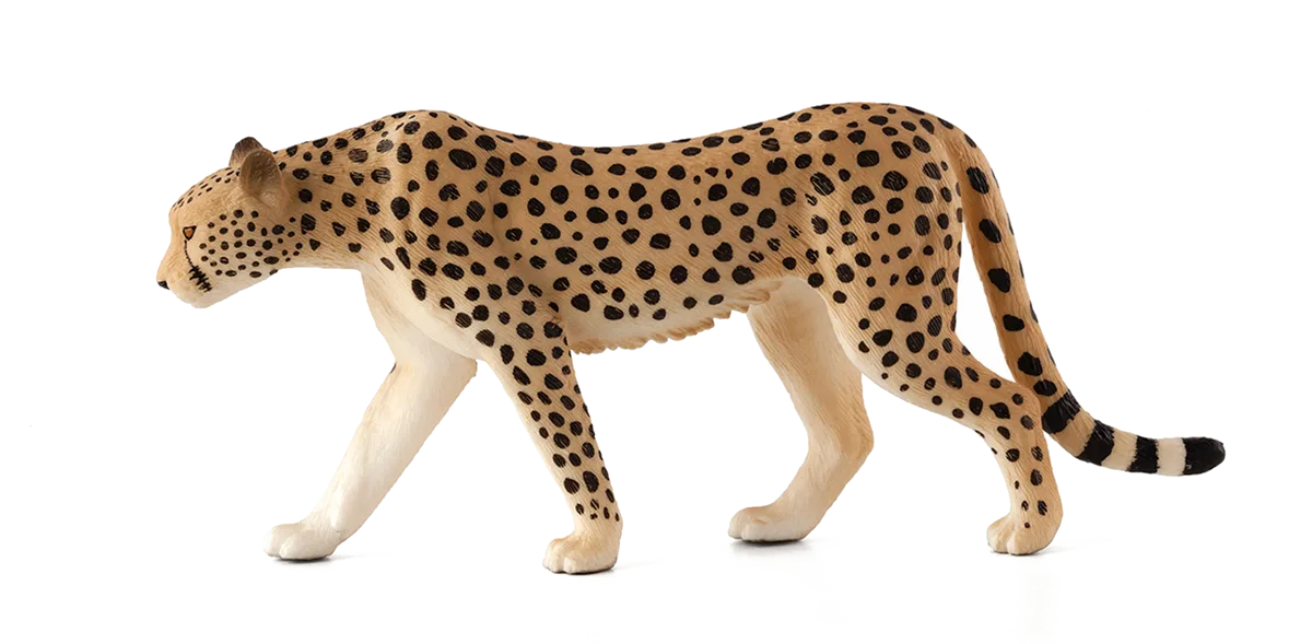 Mojo Cheetah Male - image 1