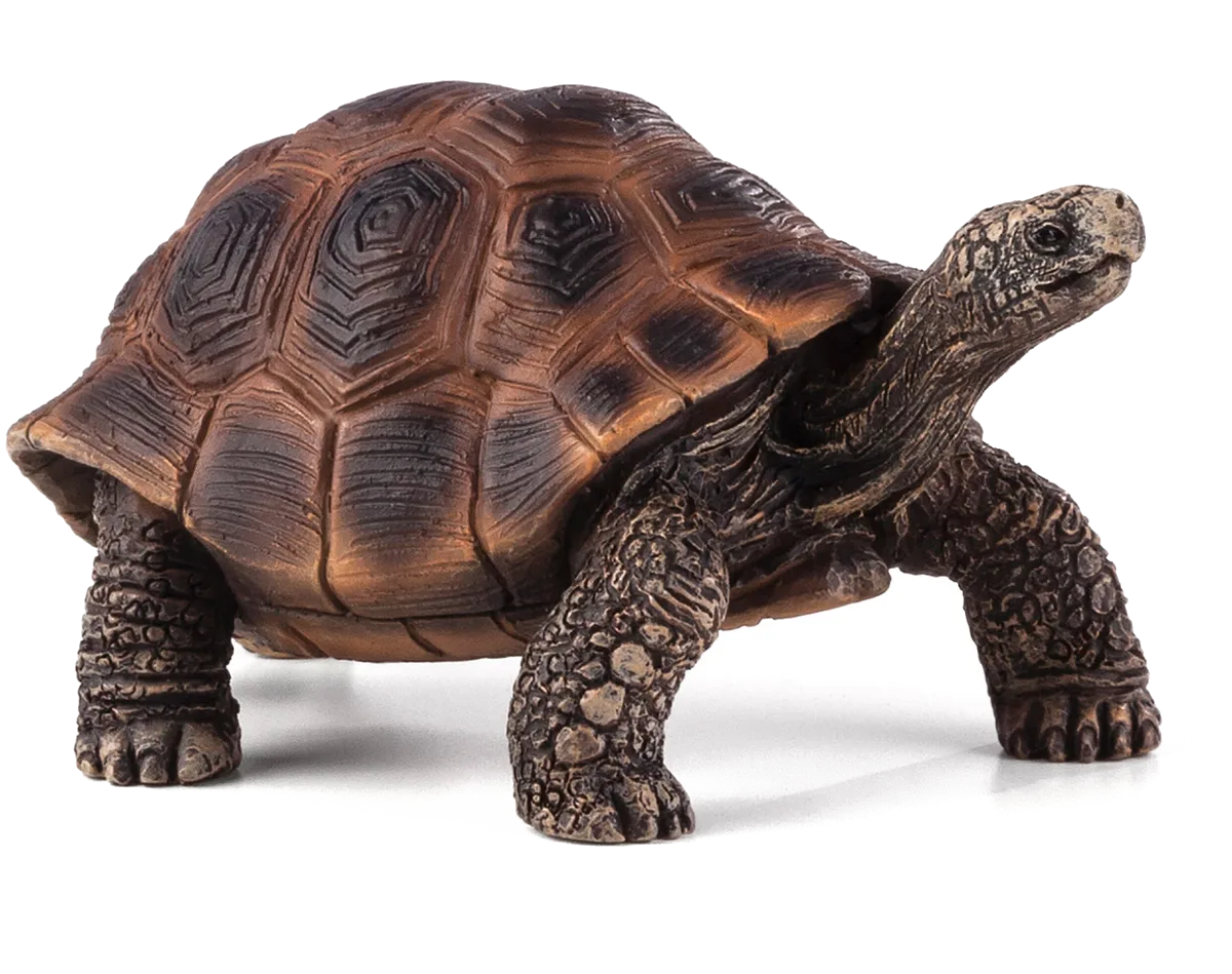 Mojo Giant Turtle - image 1