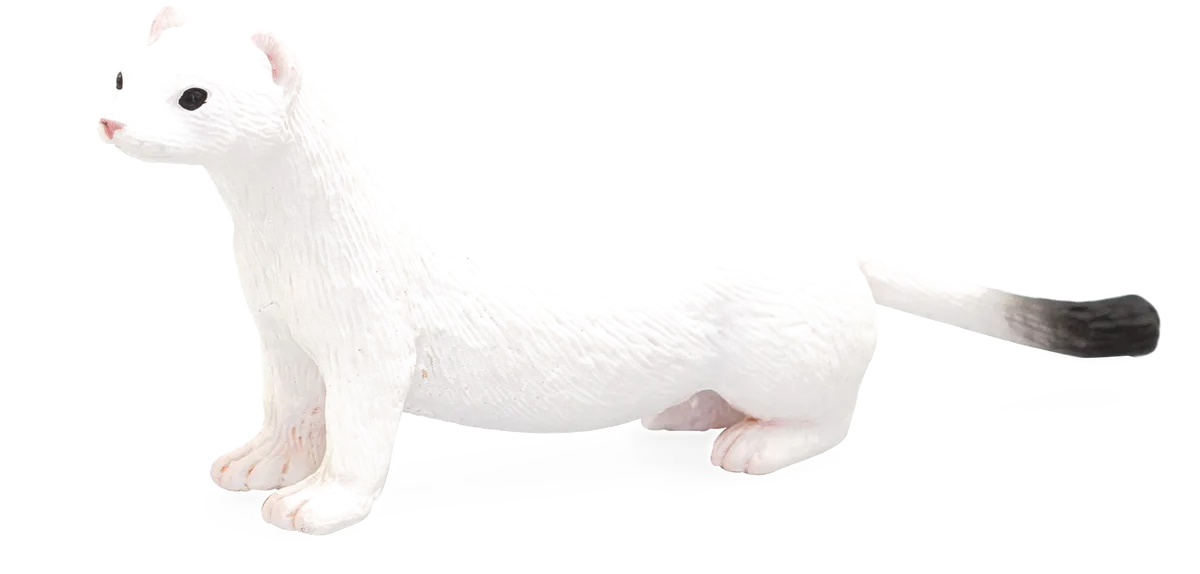 Mojo Ermine - image 1