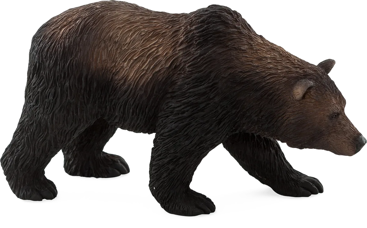 Mojo Grizzly Bear - image 1