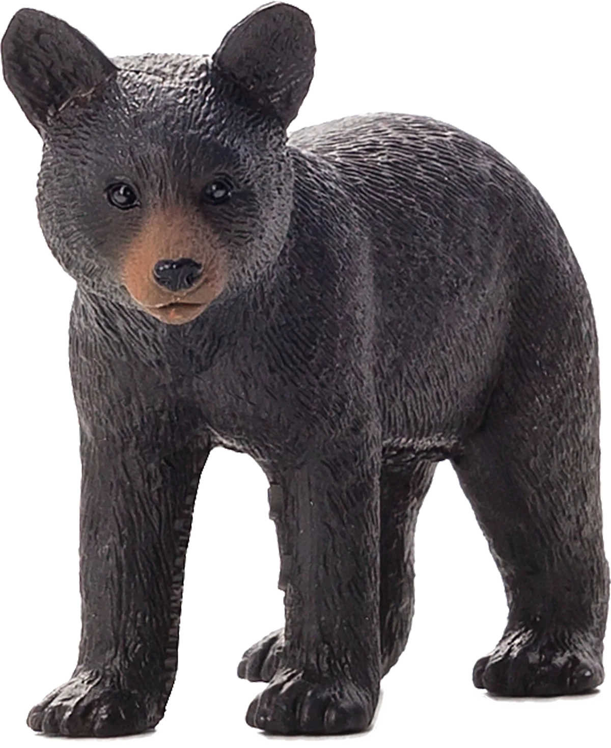 Mojo Black Bear Cub - image 1