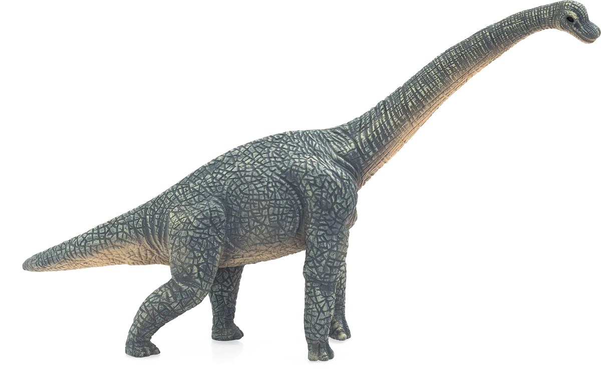 Mojo Brachiosaurus - image 1