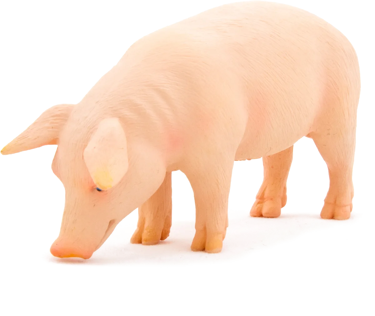 Mojo Male Pig - image 1
