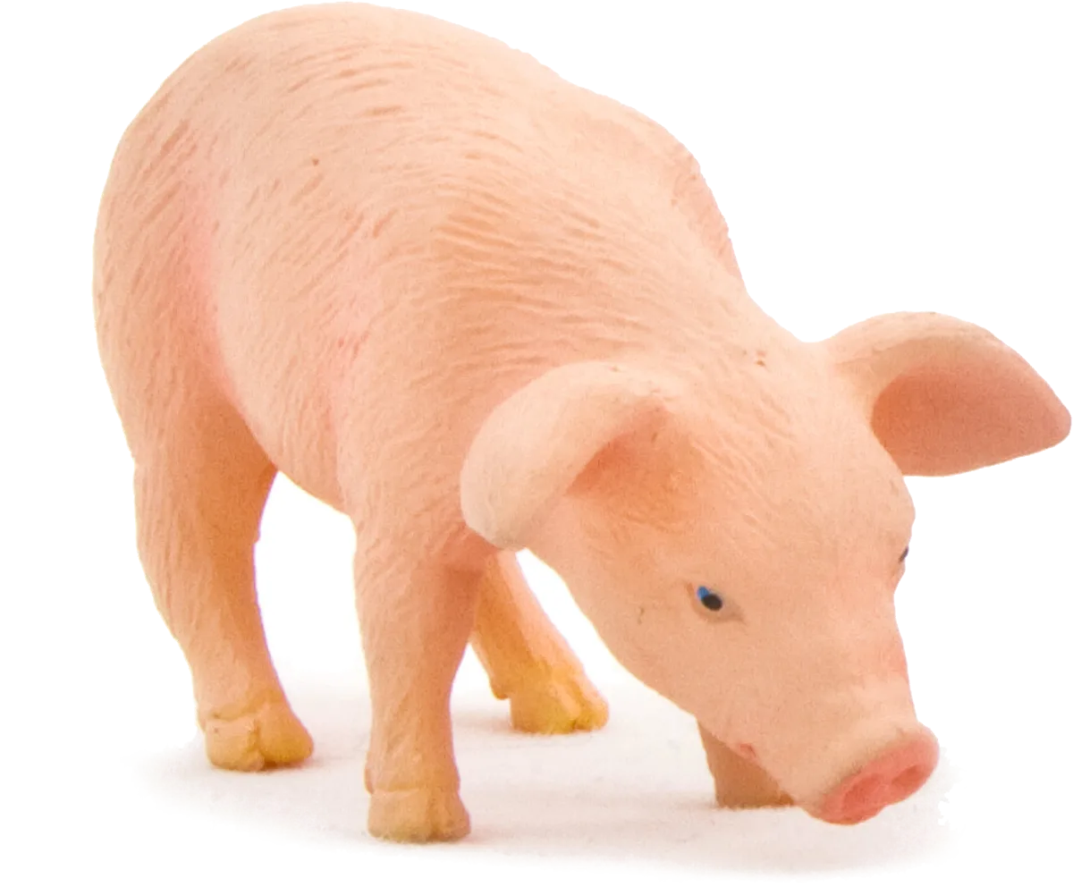 Mojo Eating Piglet - image 1