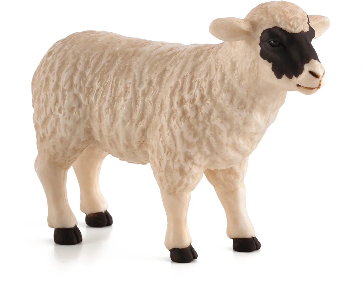 Mojo Mother Sheep, Black Head - image 1