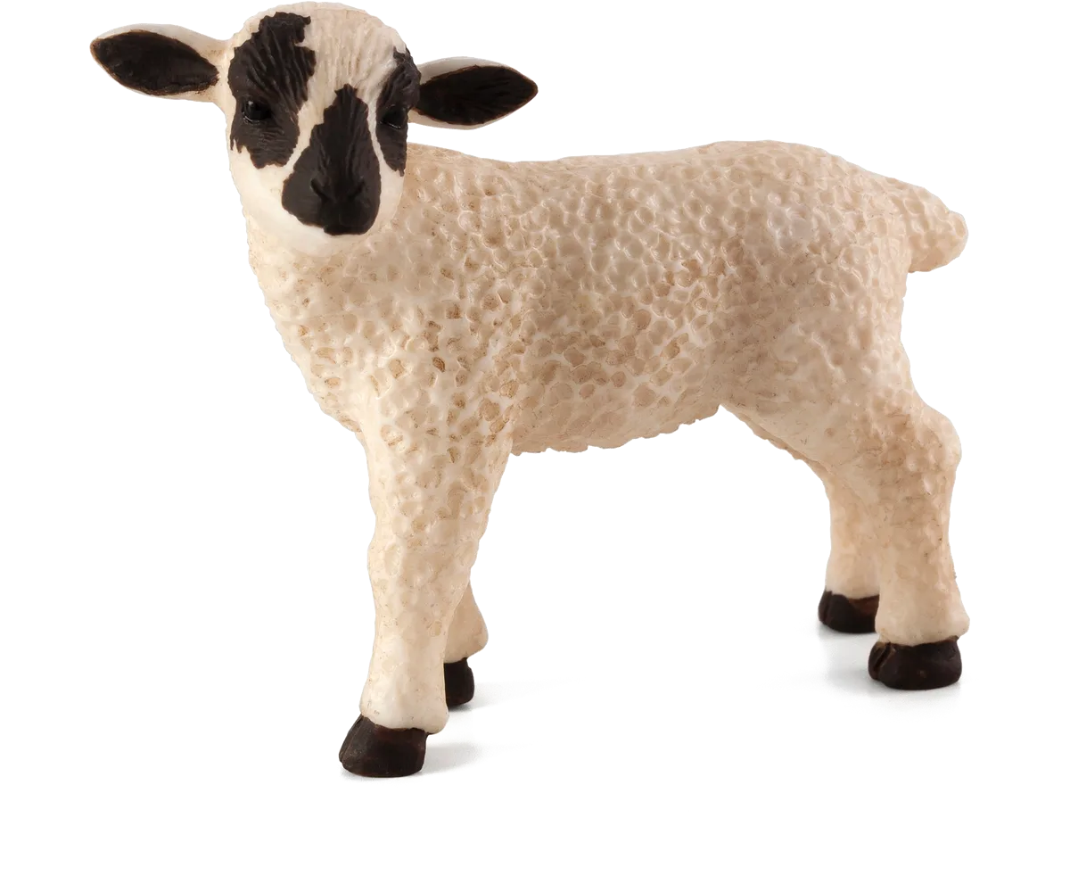 Mojo Lamb Standing, Black Head - image 1