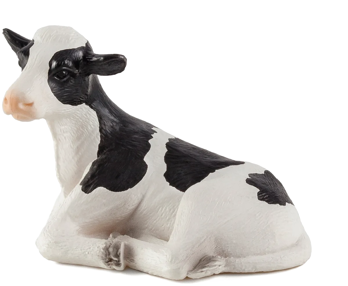 Mojo Holstein Calf, Lying - image 1