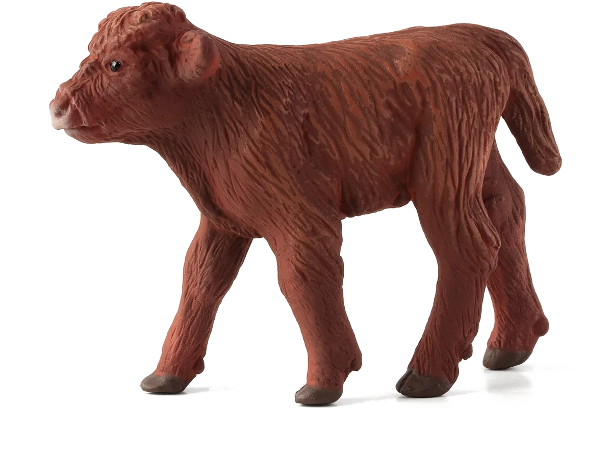 Mojo Scottish Highlands Calf - image 1