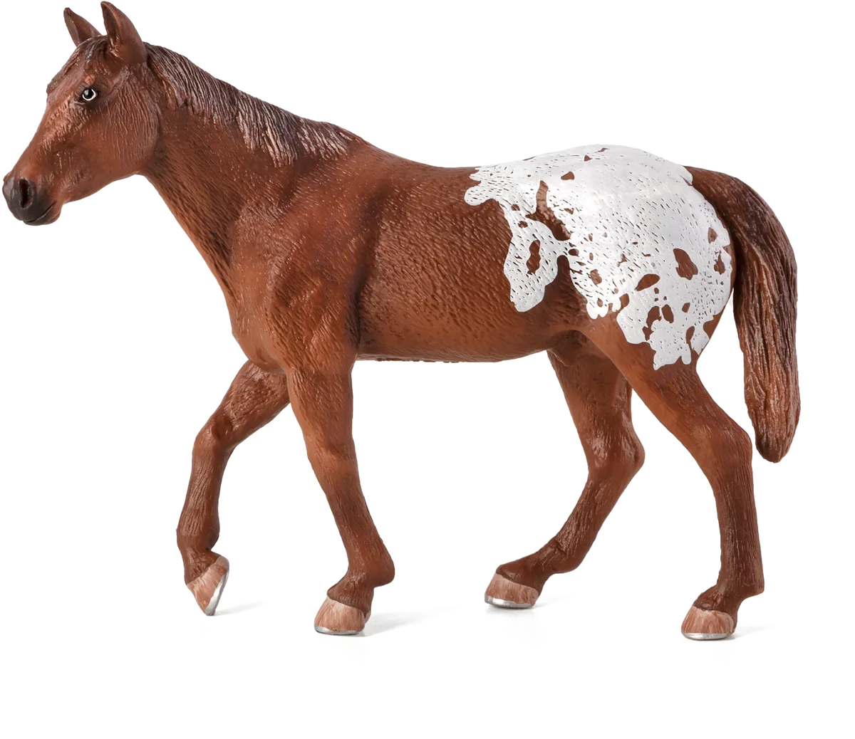 Mojo Appaloosa Stallion, Chestnut - image 1