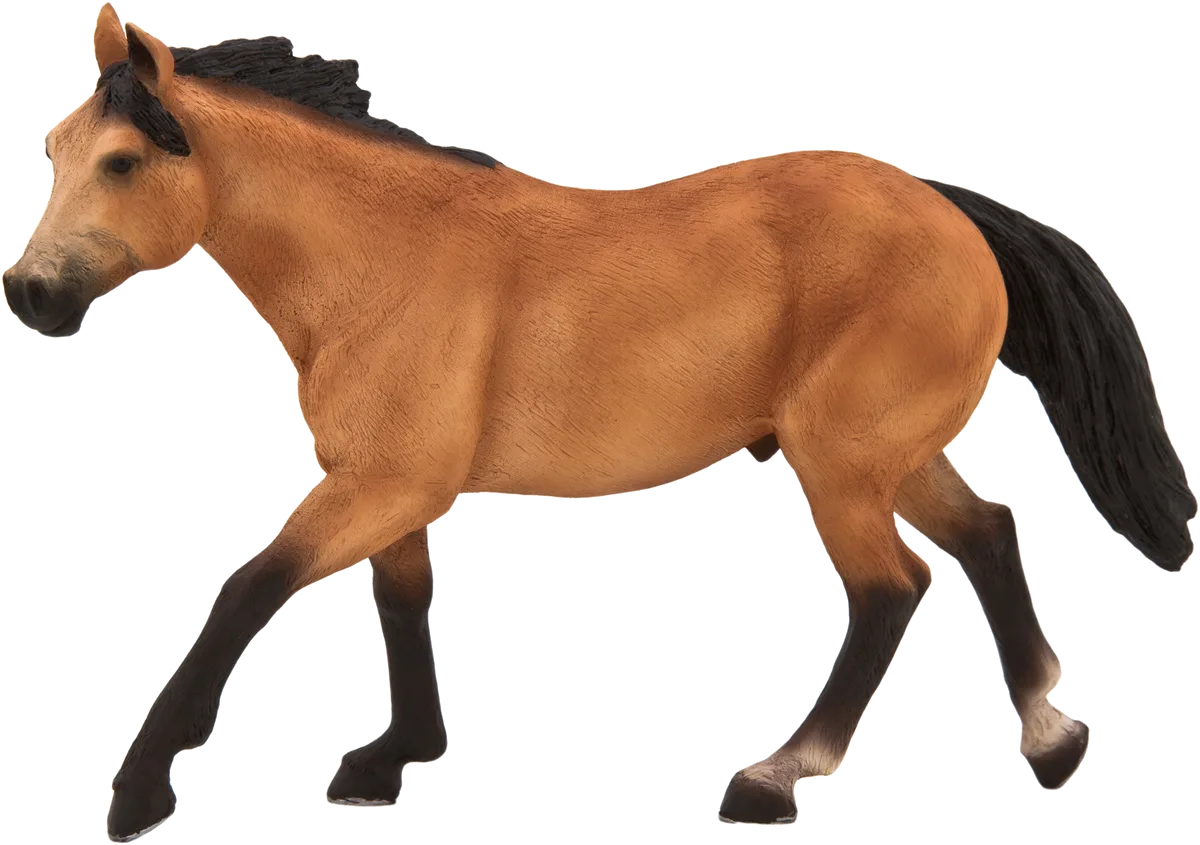 Mojo Buckskin Horse - image 1