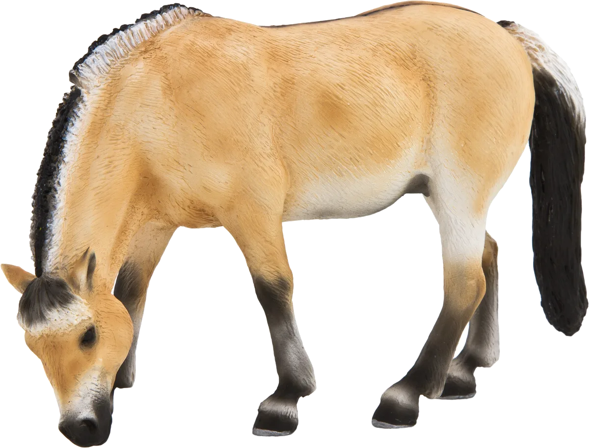 Mojo Inlet Mare - image 1