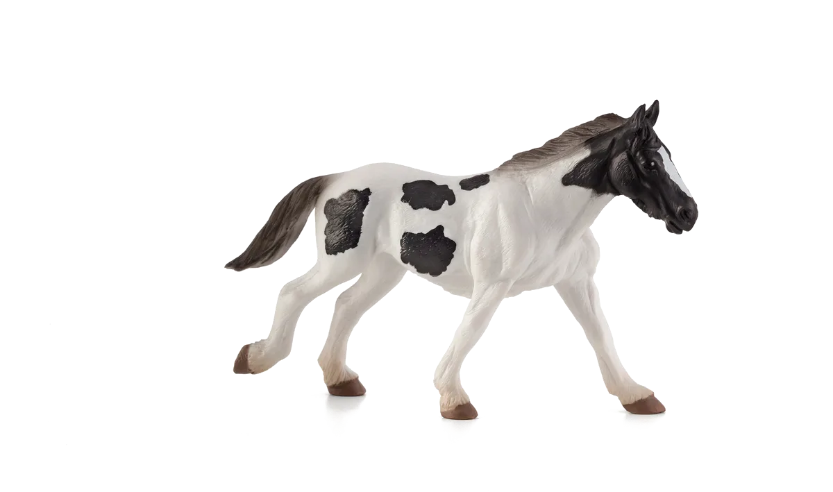 Mojo Tinker Young-Horse - image 1