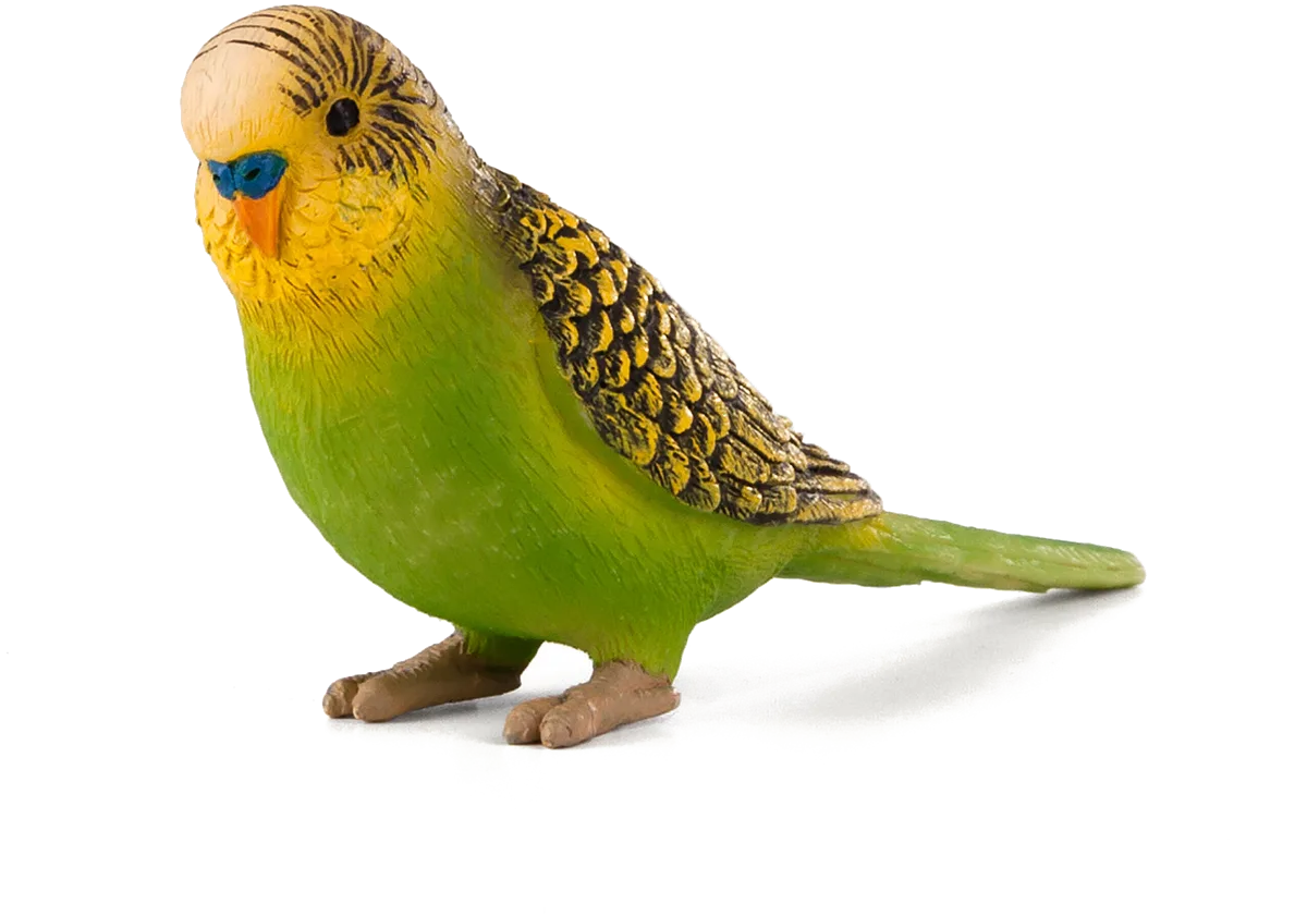 Mojo Budgerigar, Green - image 1