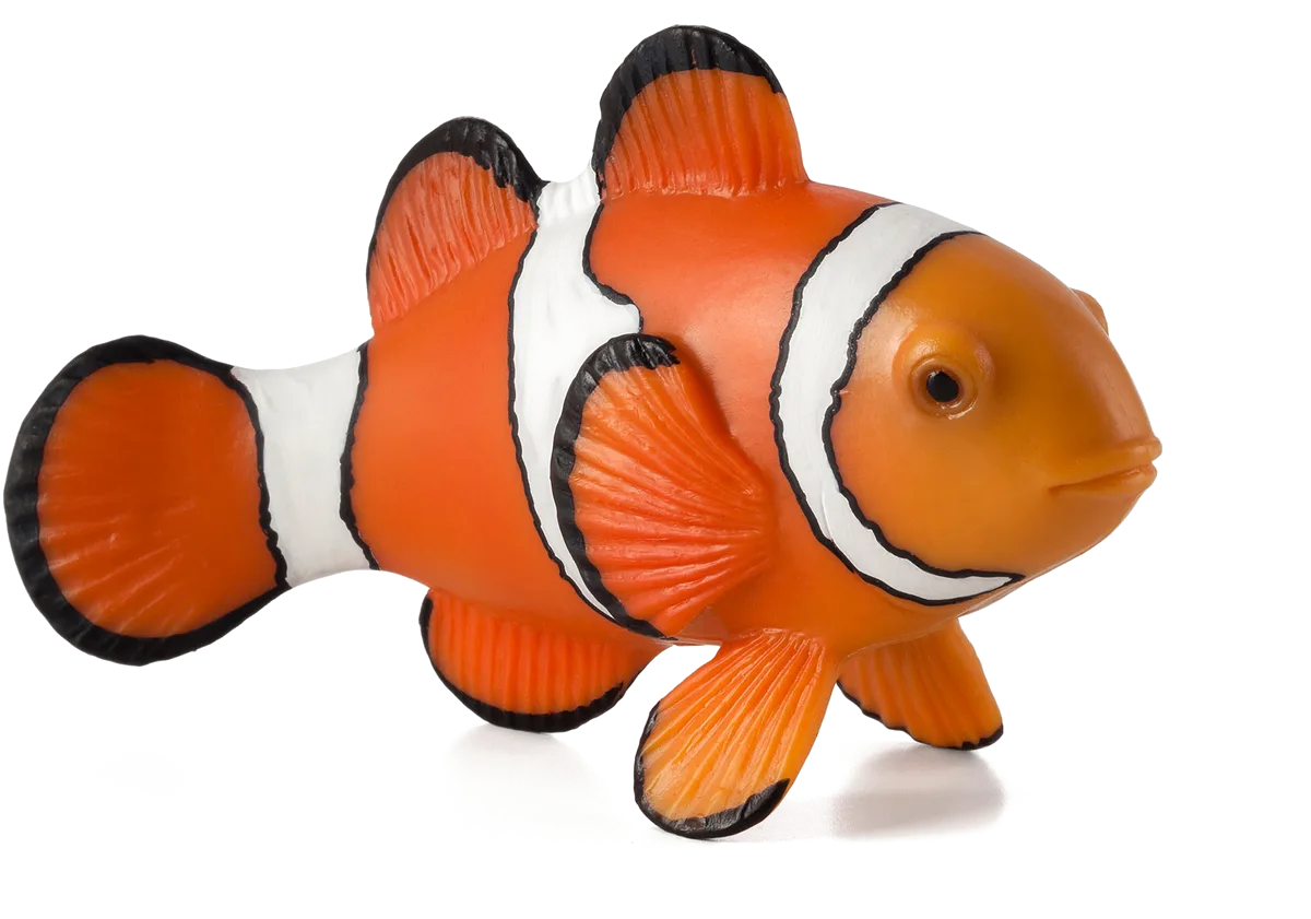 Mojo Clown Fish - image 1