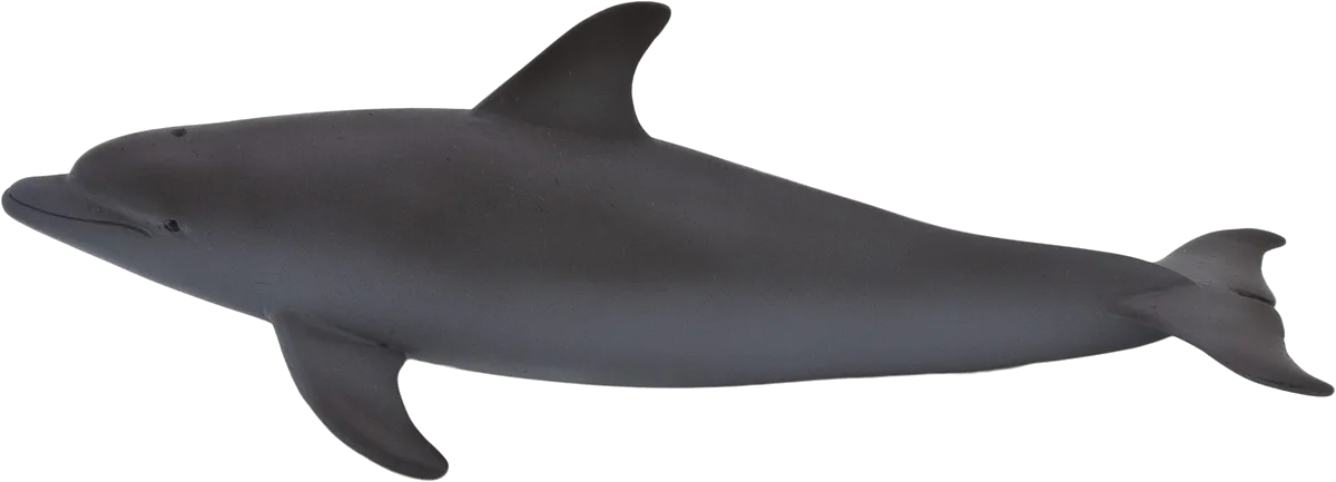 Mojo Bottlenose Dolphin - image 1