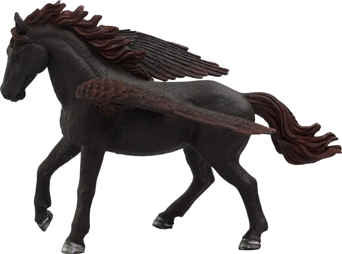 Mojo Pegasus, Black - image 1