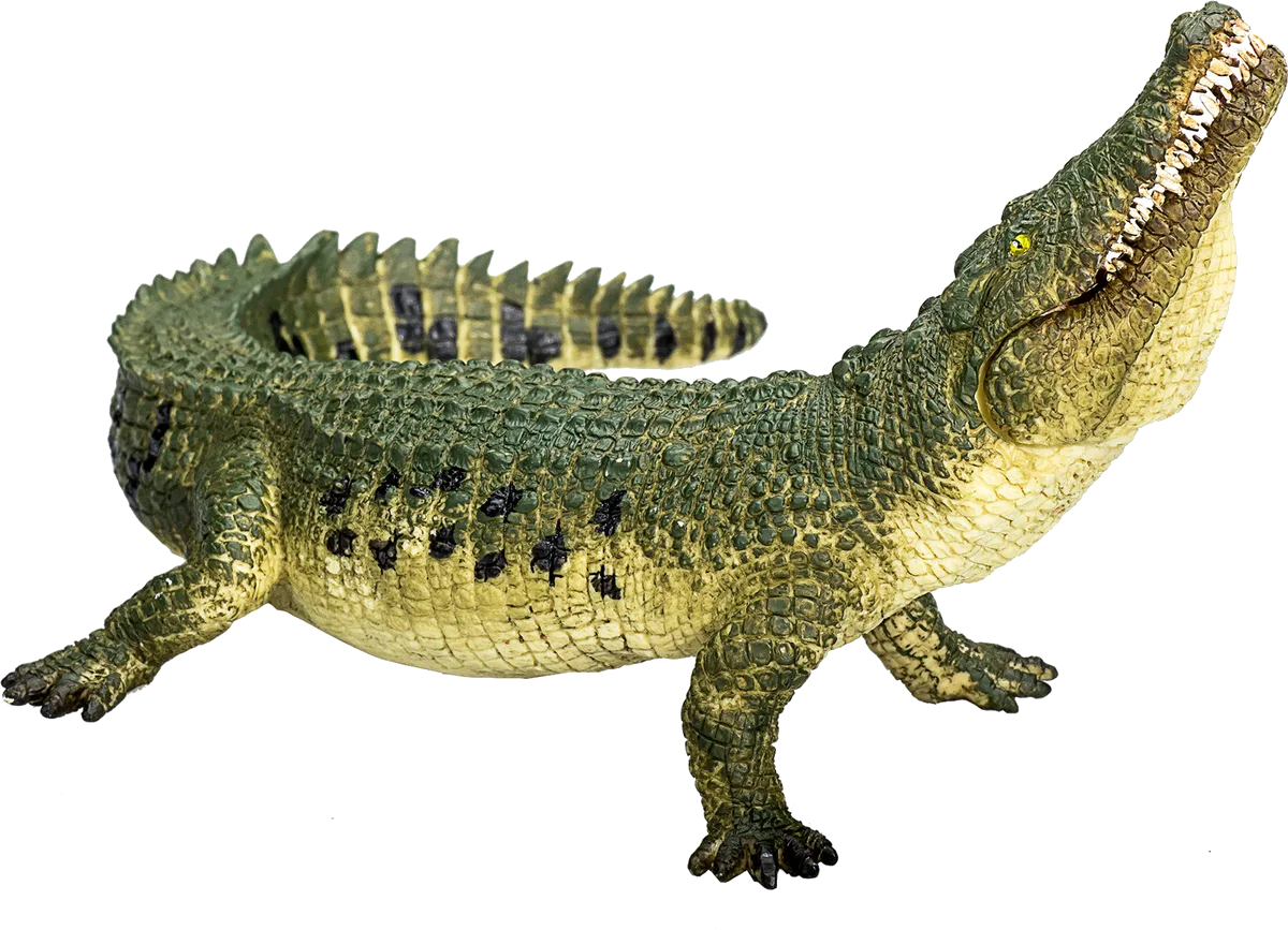 Mojo Crocodile with Movable Jaw - image 1