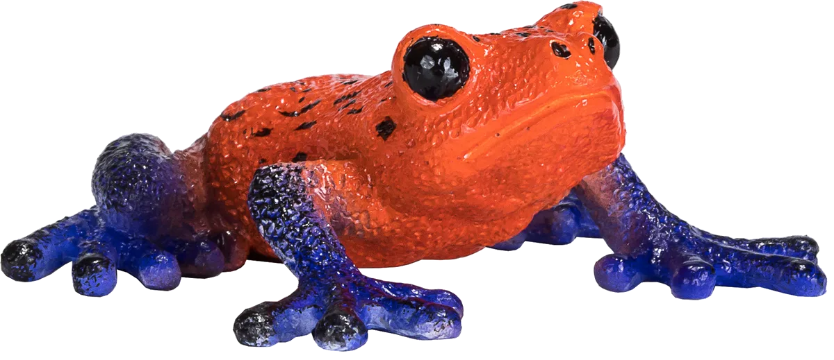 Mojo Poison dart frog - image 1
