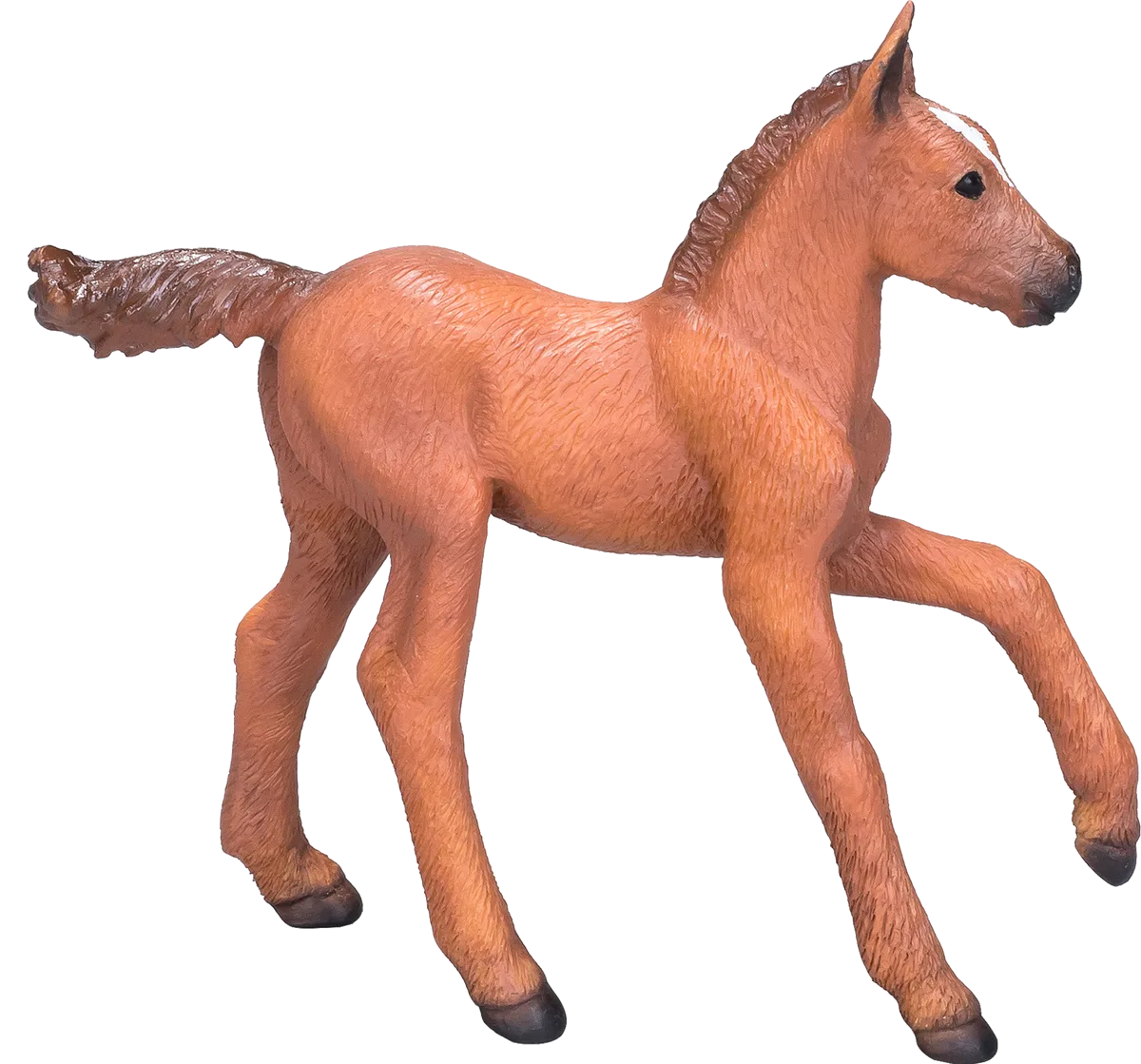 Mojo Arabian Foal, Chestnut - image 1