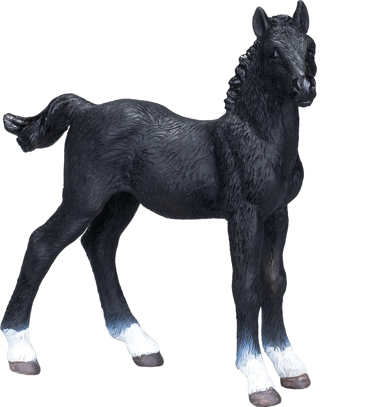 Mojo Hanoverian Foal, Black - image 1