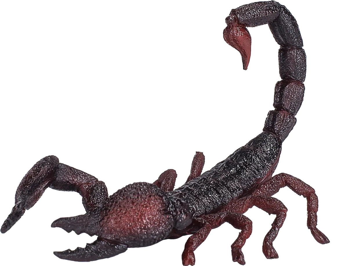 Mojo Emperor Scorpio - image 1