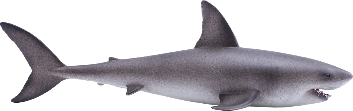 Mojo Great White Shark - image 1