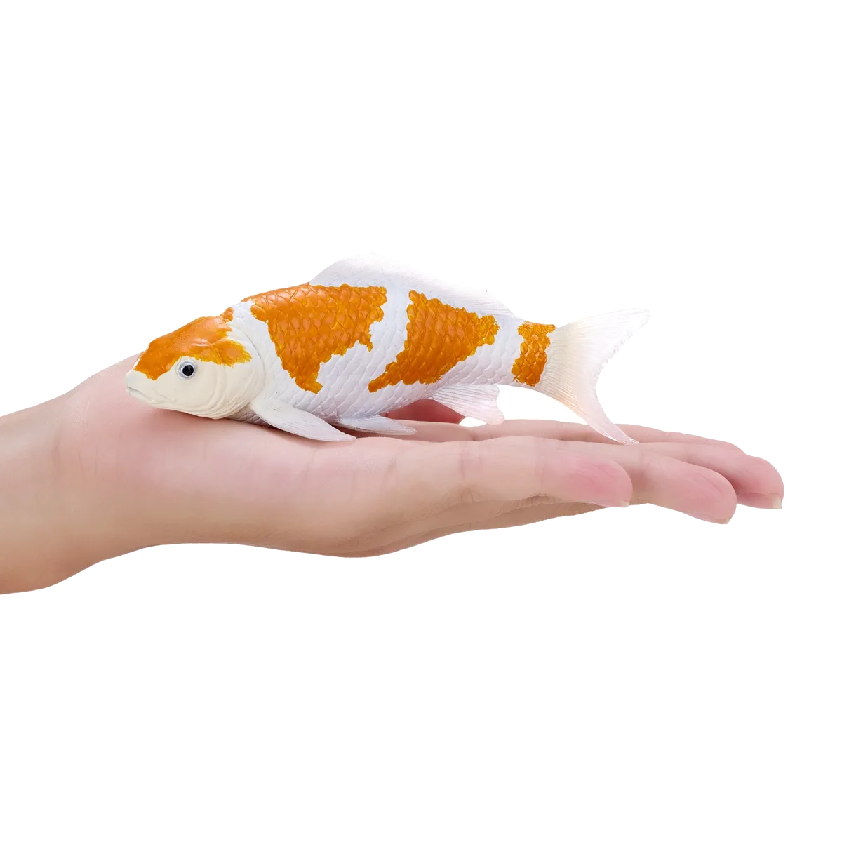 Mojo Koi carp, Gold/white - image 1