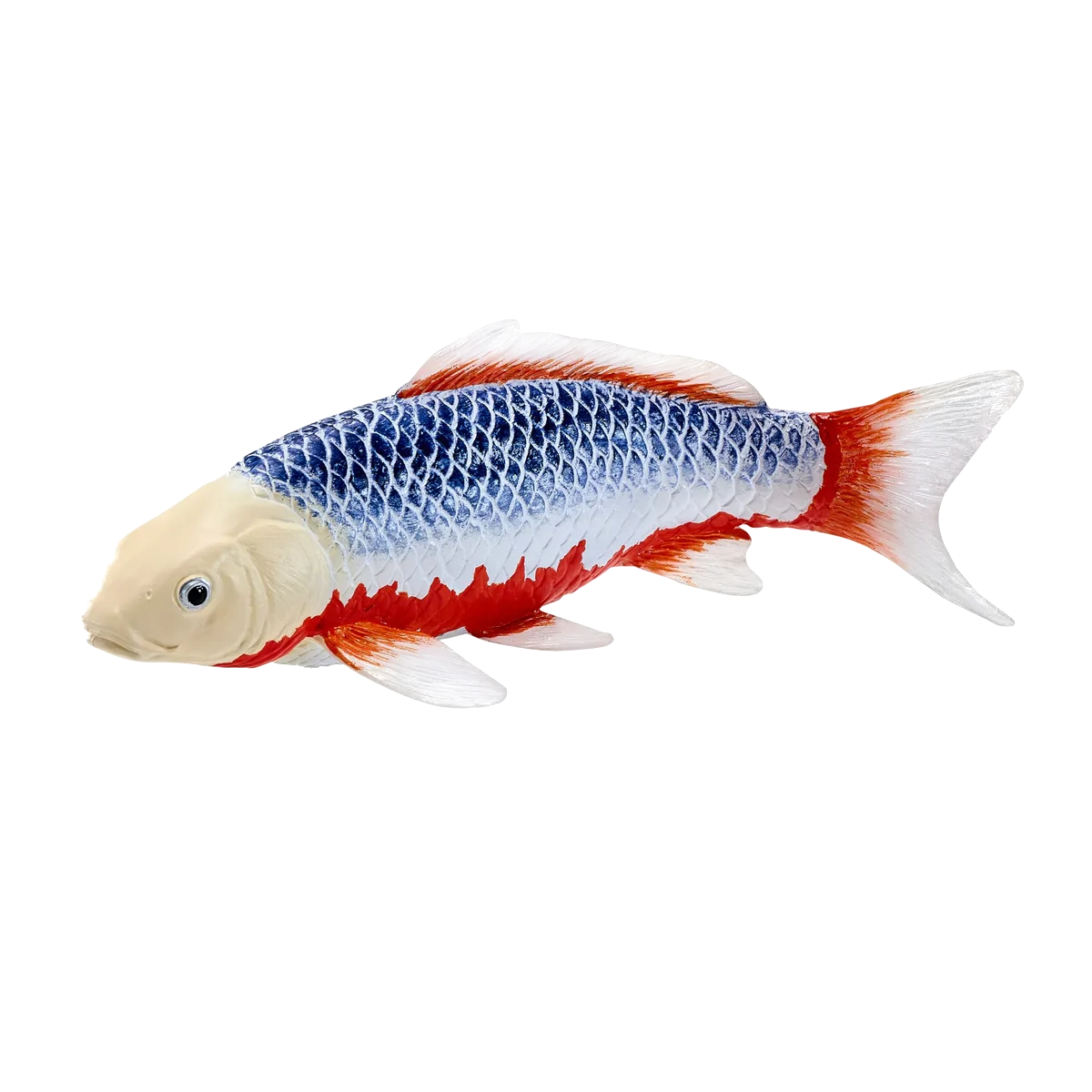 Mojo Koi carp, Blue-red - image 1
