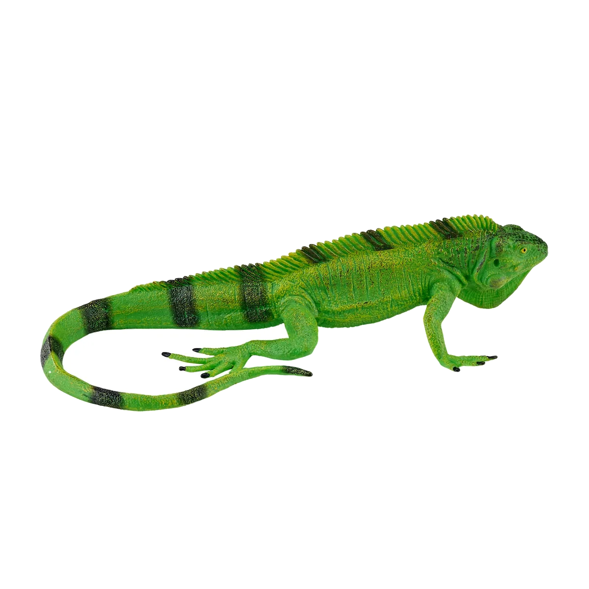 Mojo Iguana - image 1