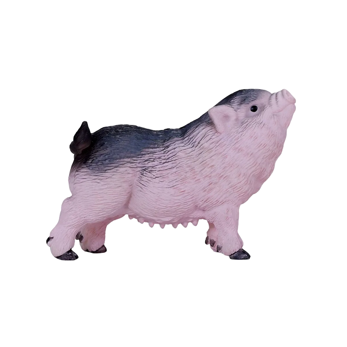 Mojo Belted Piglet - image 1