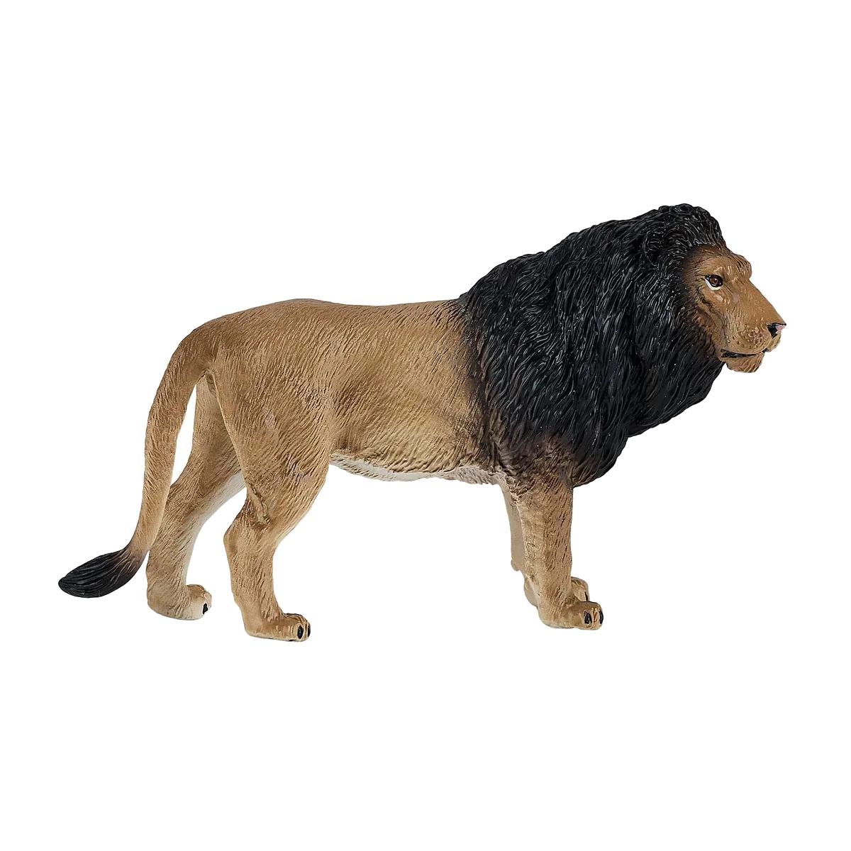 Mojo Male lion - image 1