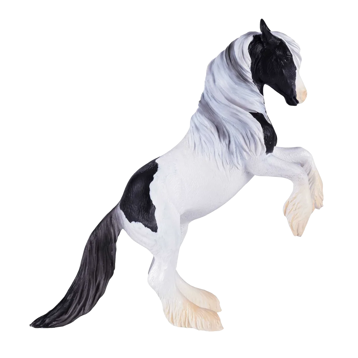 Mojo Gypsy Vanner Stallion - image 1
